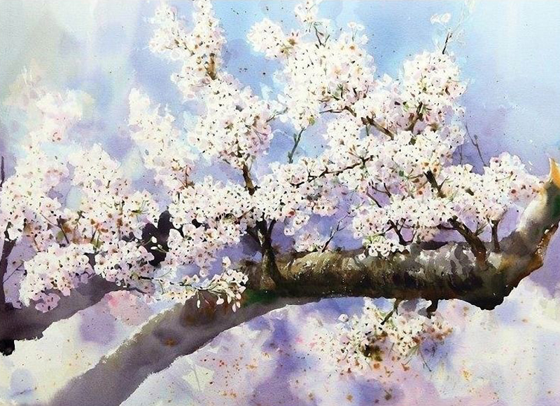 f95c2974cbf08c7ed1e5aee1054f4cc0_1761197133_1377.jpg f95c2974cbf08c7ed1e5aee1054f4cc0_1761197133_1377.jpg